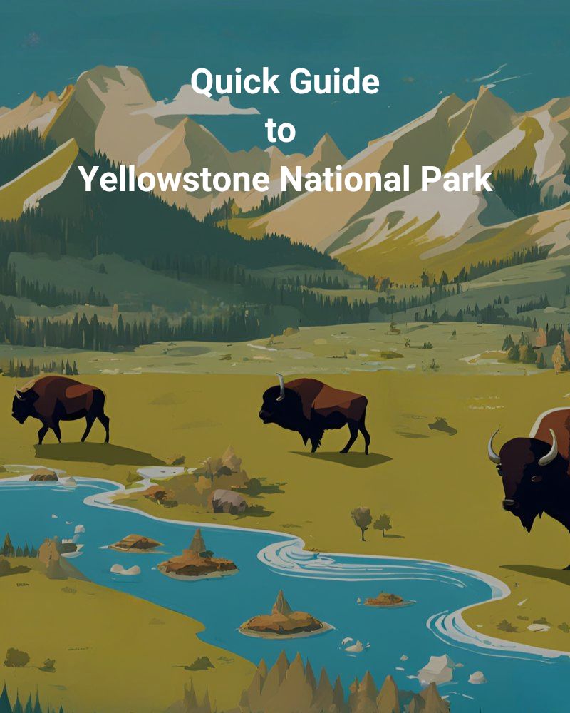 Quick Guide to Yellowstone National Park